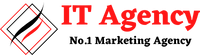 IT Agency