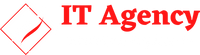 IT Agency